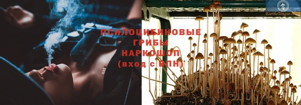 PSILOCYBIN Кулебаки