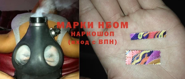 твердый Краснослободск
