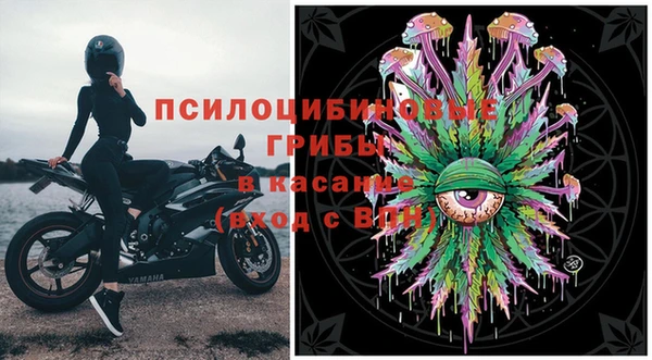 твердый Краснослободск