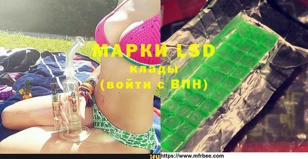 твердый Краснослободск