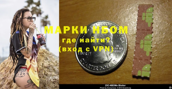 твердый Краснослободск