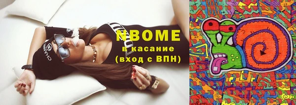 твердый Краснослободск