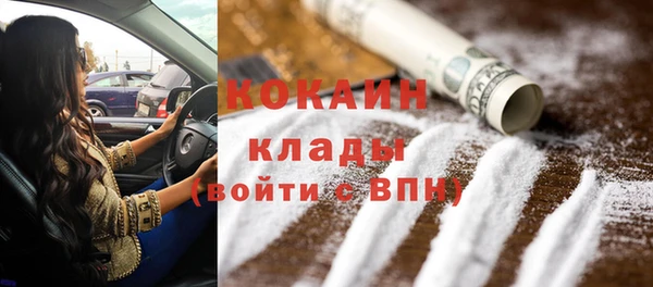 твердый Краснослободск